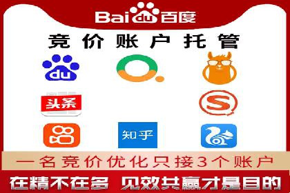 竞价推广中的移动端优化策略：基于移动用户的成功案例